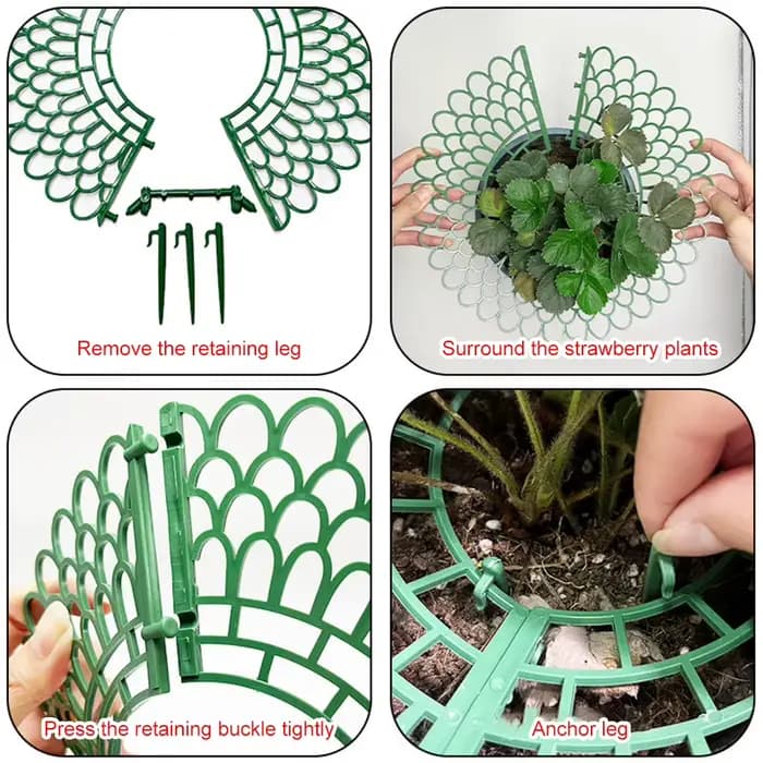 Supports de fraises avec 3 pieds de Support robustes, pour conserver les plantes et les fruits, supp