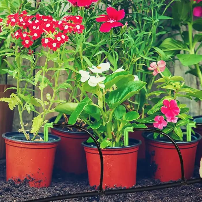 Système d'arrosage automatique pour jardin 20m, d'argile goutte à goutte 4 voies 3/5mm 2 voies flèch