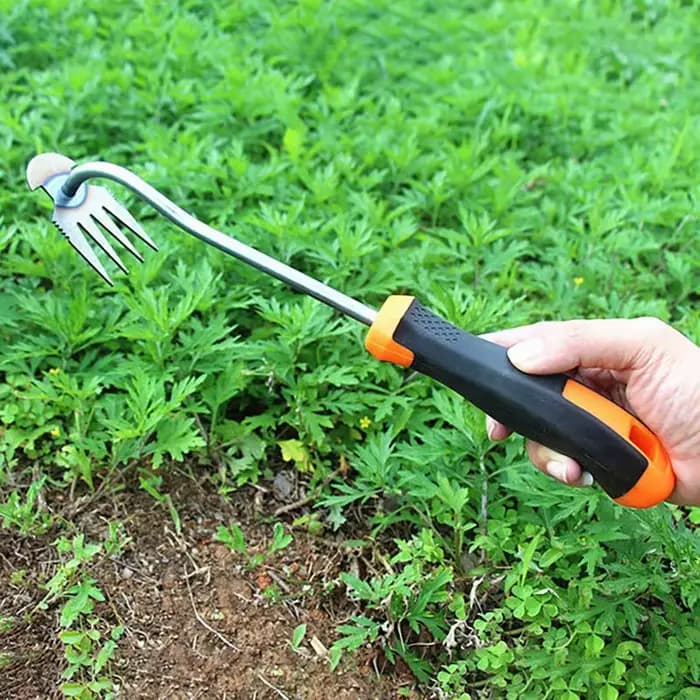Râteau de jardin manuel 2 en 1, outil d'enracinement d'herbe de graines, pelle d'extraction de désherbage à 4 dents, jardinage manuel, outil de sol libre, désherbeur