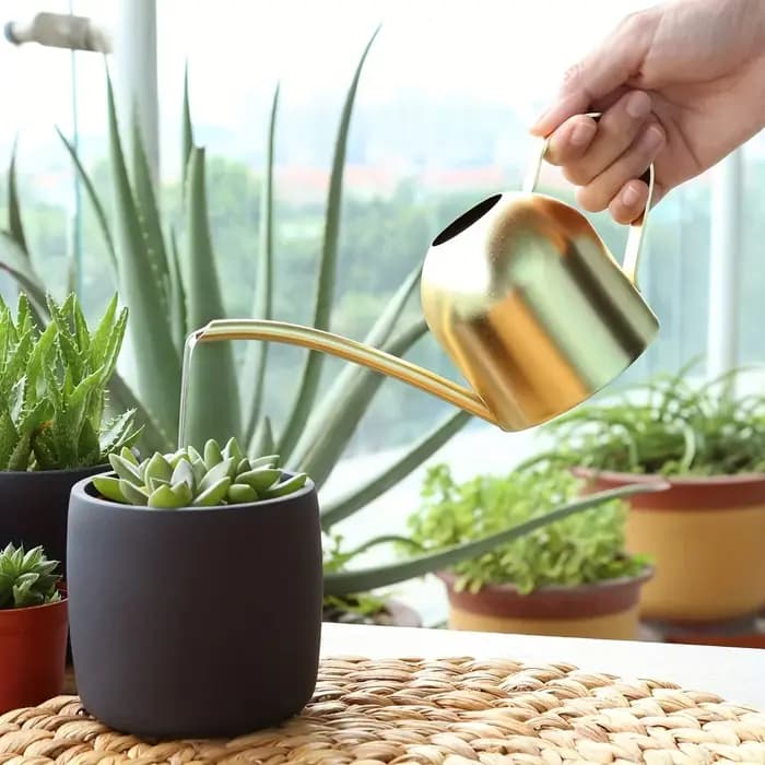 Pot d'arrosage en acier inoxydable, 1 pièce, ponçage en cuivre, sable, or, plantes de jardin, buse à
