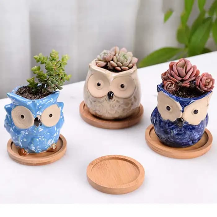 Pot de fleur multi bambou en bois d'escalier, dessous de verre, assiette décorative de cuisine, dess