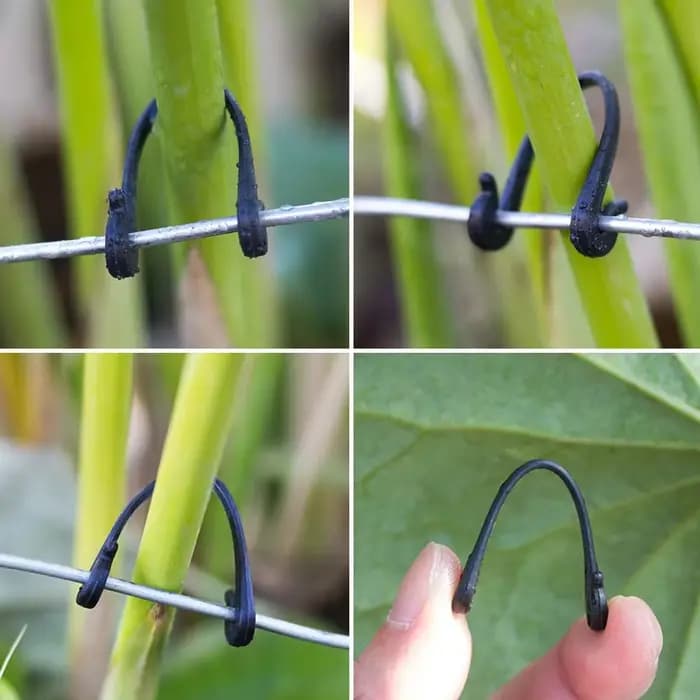 Cages et supports multi-usages pour plantes de jardin, vignes, 200 à 800 pièces, Clips de jardin, bo
