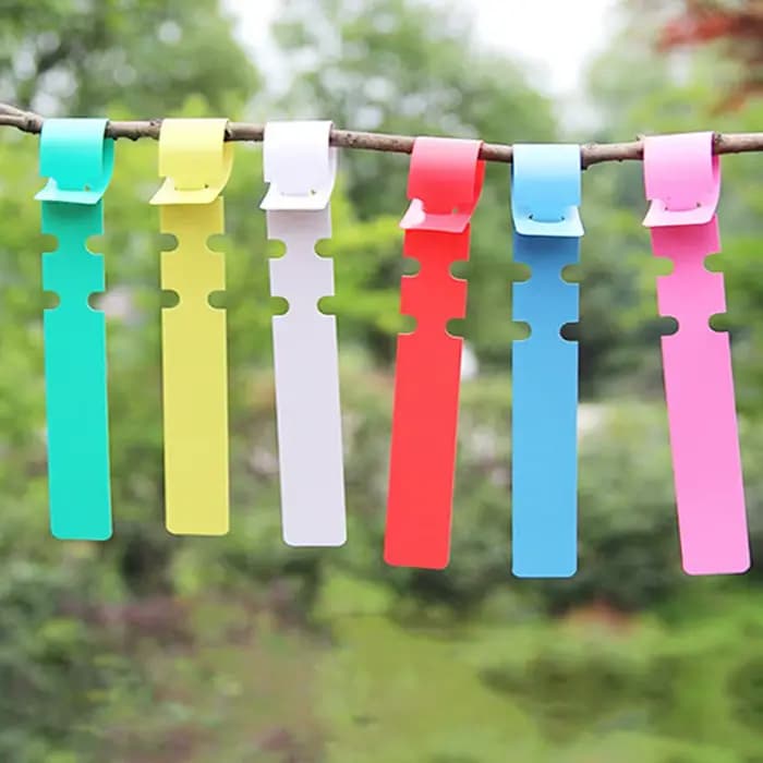 Étiquettes de plantes à boucle réglable en plastique, 6 couleurs, étiquettes de jardinage, étiquette