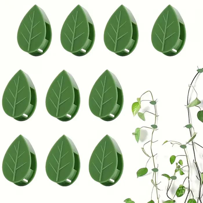 Clips de Fixation Murale Grimpante pour Plantes, Crochet Auto-Adhésif pour Plantes, Fiosphréinitiali