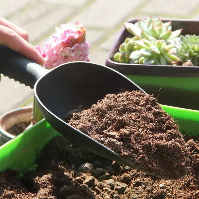 Spatule de jardinage pour ameublir le sol