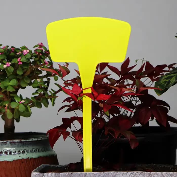 Étiquettes jaunes de Pot de jardin Type T, plaque d'enregistrement étanche d'intérieur et d'extérieu