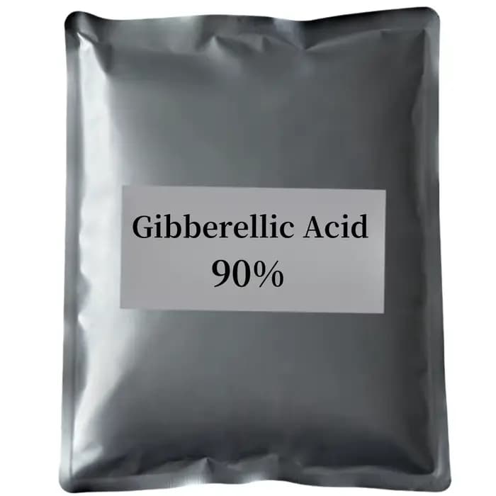 Engrais Super PGR pour la croissance des plantes, acide gibbérellique GA3 90%