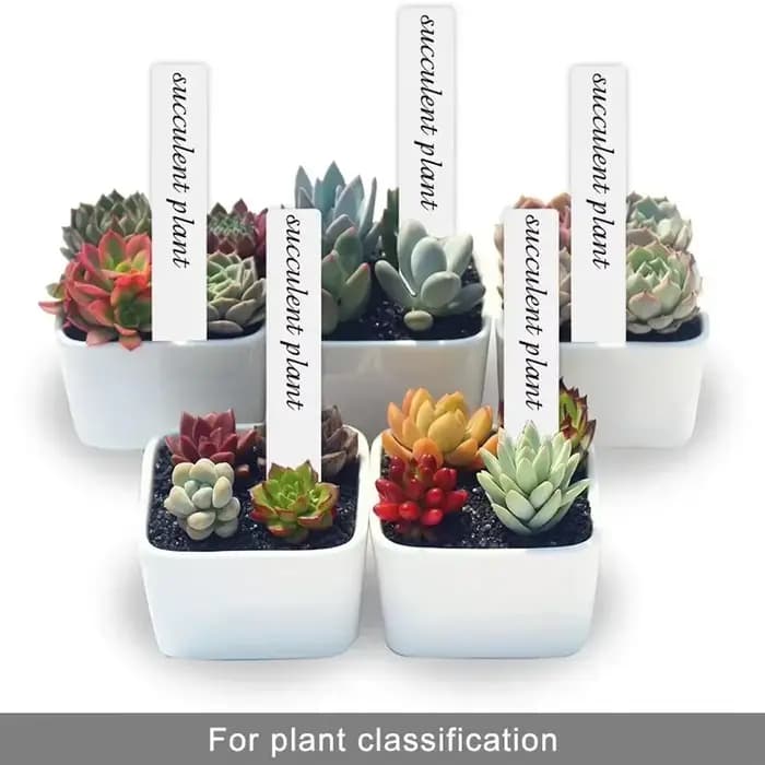 Étiquette de fleur étanche en plastique, 100 pièces, marque de type T, étiquette de jardinage, pour