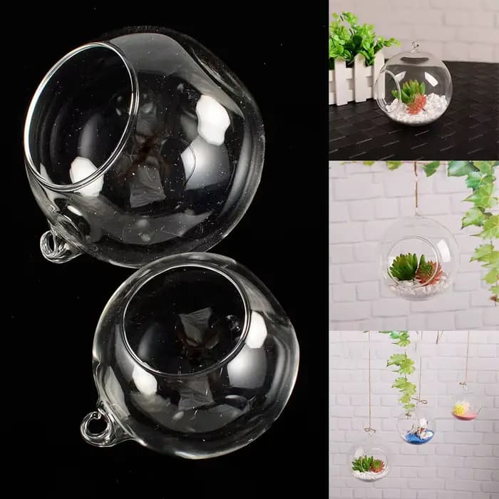 Boule de Terrarium en Verre Transparent en Forme de Globe, Conteneur de Fleurs, Ornement de Paysage,