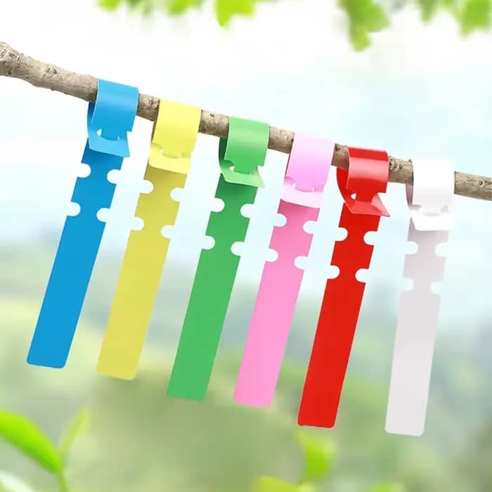 Marqueurs de plantes imperméables en plastique, 100 pièces, étiquettes suspendues pour plantes de ja