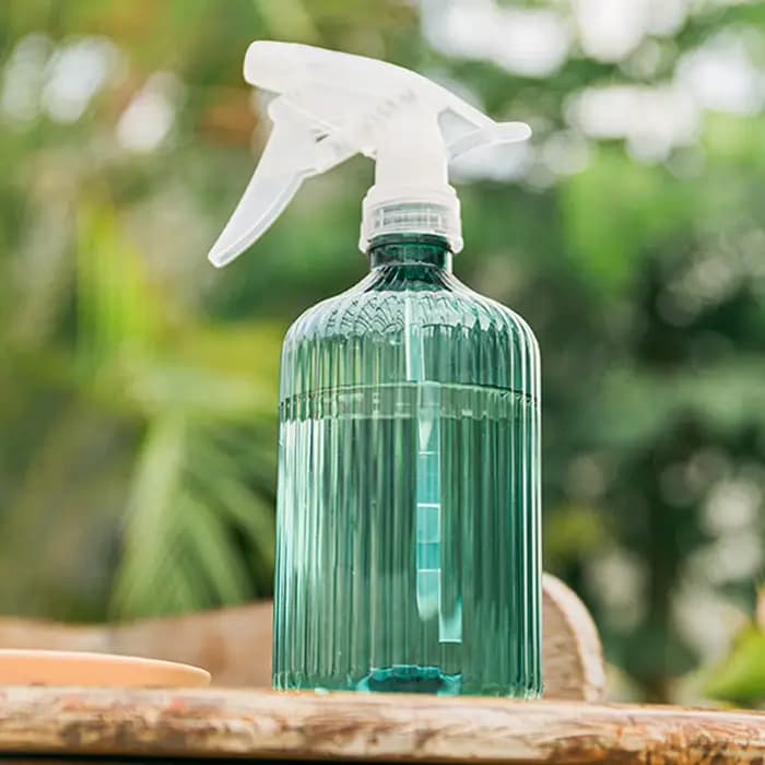 Arrosoir domestique de grande capacité de 500ml