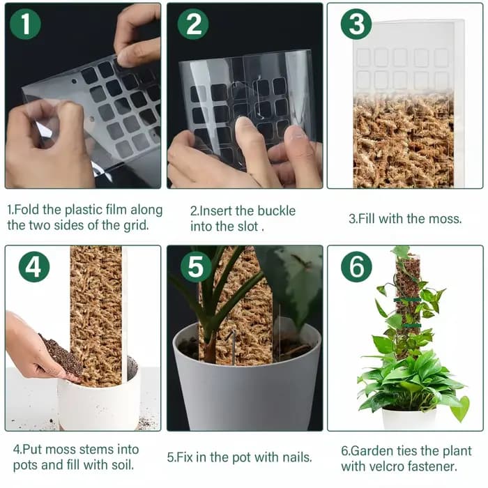 Support de plantes en plastique, poteau de mousse, plantes grimpantes d'intérieur, Tutors garantis,