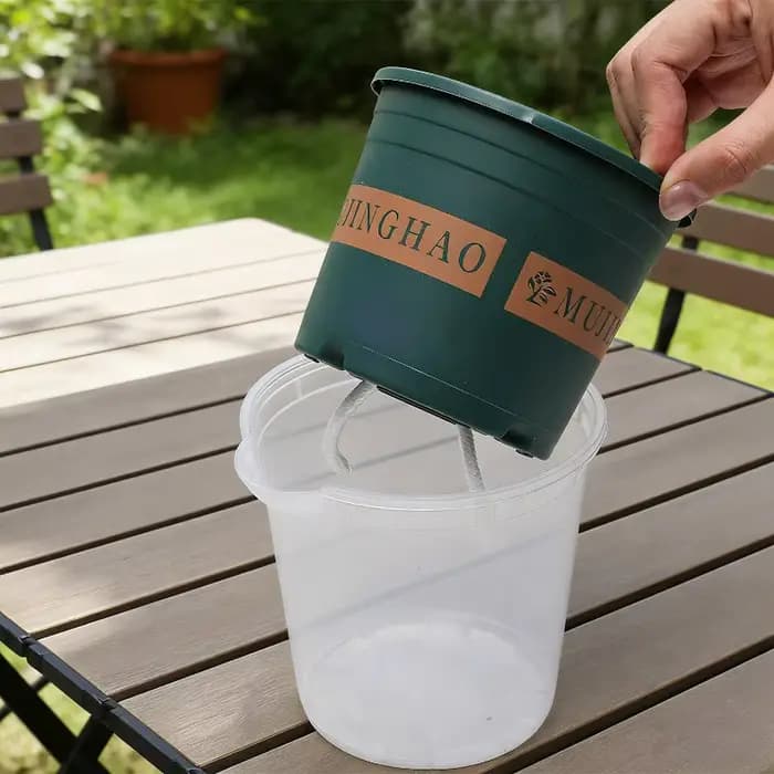 Pots de plantes verts transparents avec trou de drainage