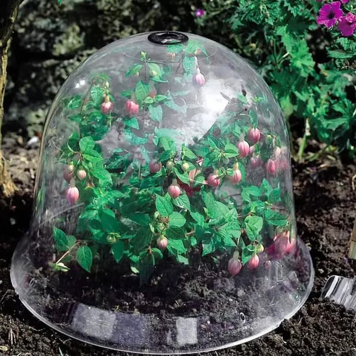 Couverture réutilisable en plastique pour plantes de jardin