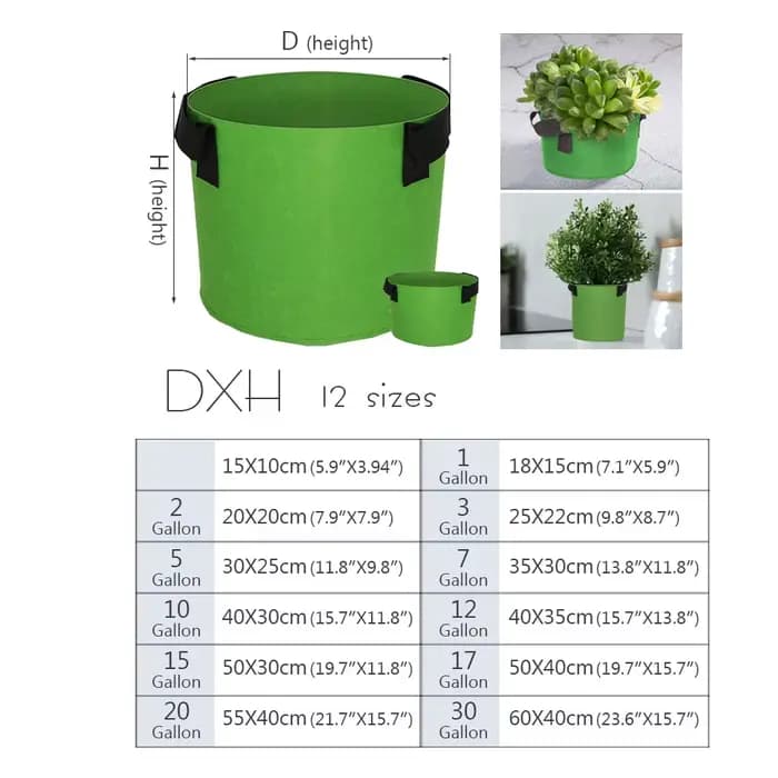 Sacs de Culture en Tissu Vert pour Jardin, 1-30 Gallons, avec Foy, pour Plantes de Cour, Légumes, Fl