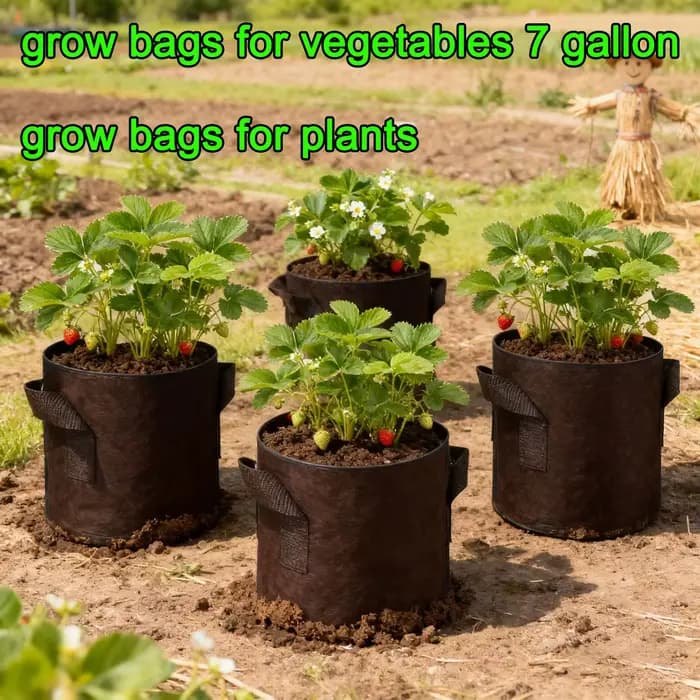 SPONDWILD 30 pièces 15 gallons tomates/pommes de terre sacs de culture épaissi Non-tissé tissu jardin serre Pot légumes