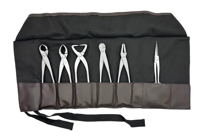 Ensemble d'outils pour bonsaï de bonne qualité (6 pièces)