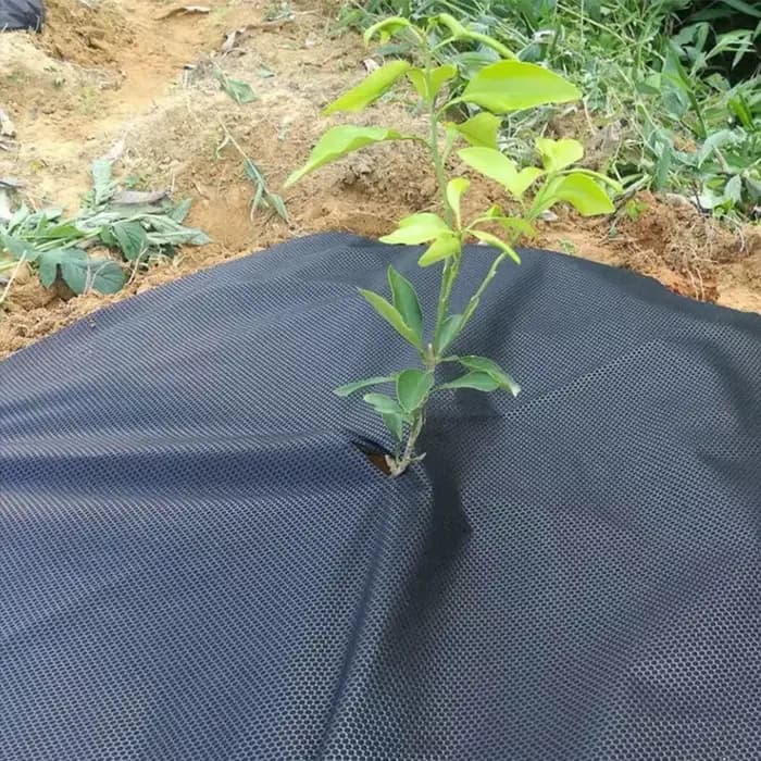 Tapis de Protection contre les mauvaises herbes, tissu de contrôle écologique, anneau de paillis ron