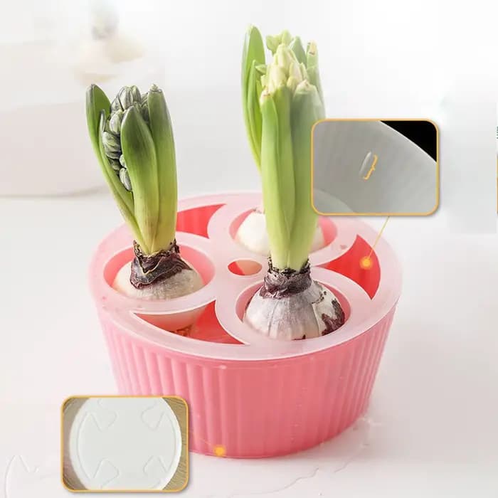Jardinière hydroponique à 3 trous pour ampoules de fleurs