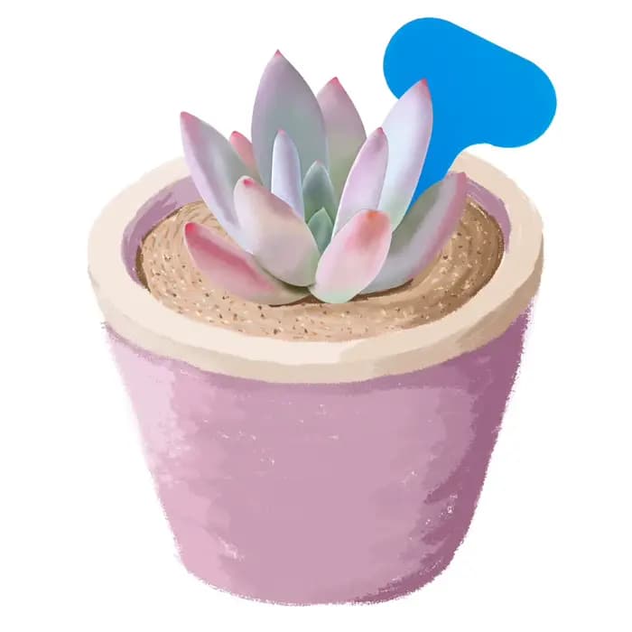 Étiquettes pour plantes de jardin, marqueur 50x70MM, Classification colorée, tri, signe de bonsaï, b