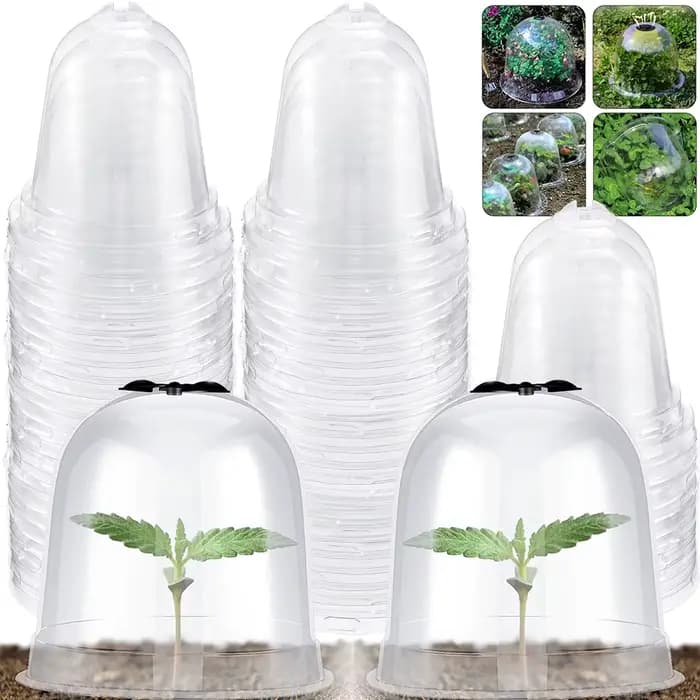 Cloche isolante réutilisable pour plantes de jardin