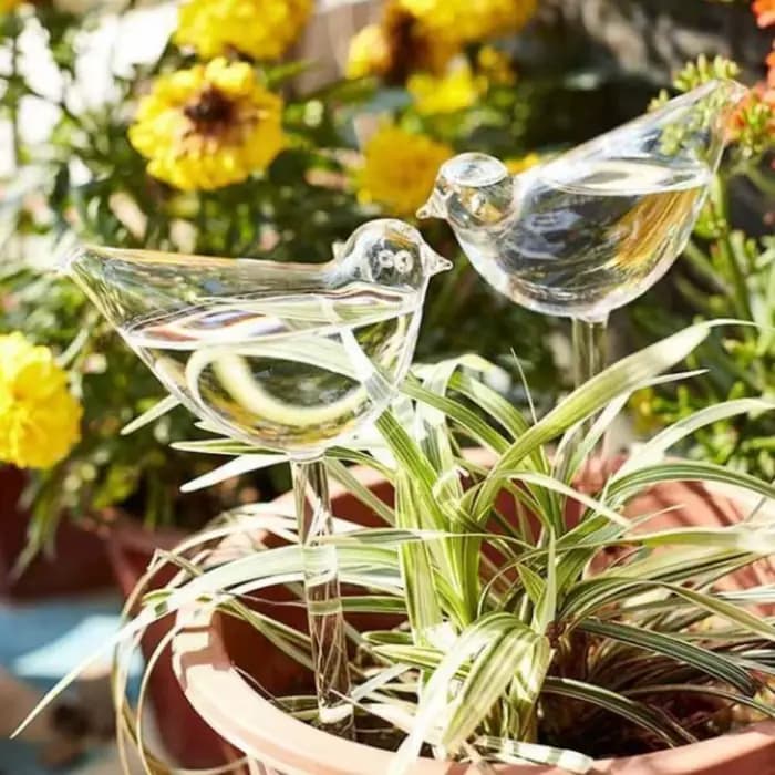Globes en verre auto-arrosage pour arrosoir de plantes