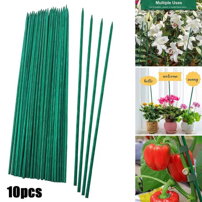 Bâtons de support pour plantes vertes, cannes, fleurs, piquet de plante de jardin, décorations de va