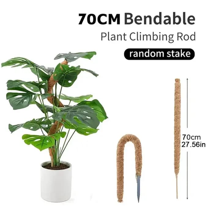 Plantes pliables Support d'escalade plante mousse coir pôle bas