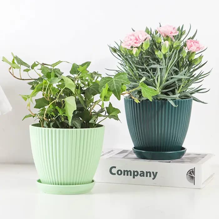 Pot de fleur en plastique Pot de plante succulente avec plateau aneth vert rond Double couche petit Pot