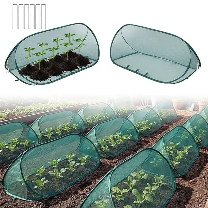 1 ensemble de couvertures triangulaires vertes pour plantes de jardin