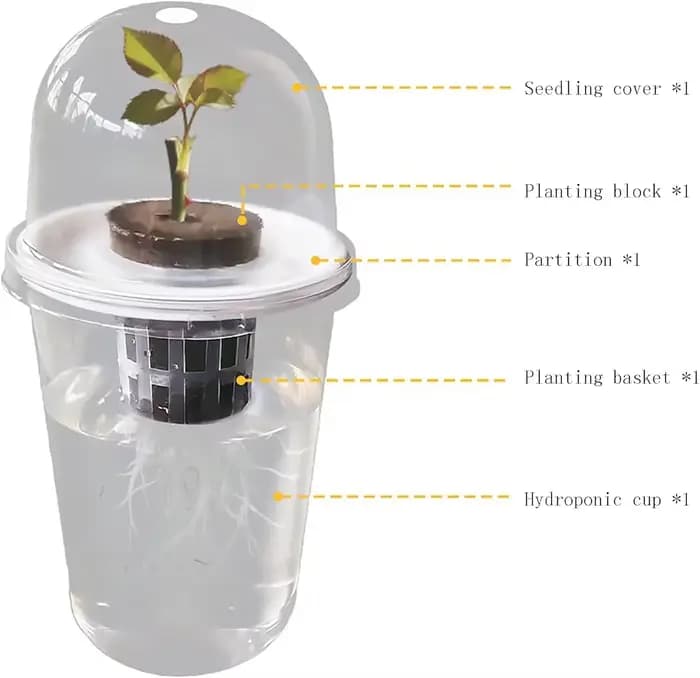 Pot hydroponique cylindrique Transparent en plastique