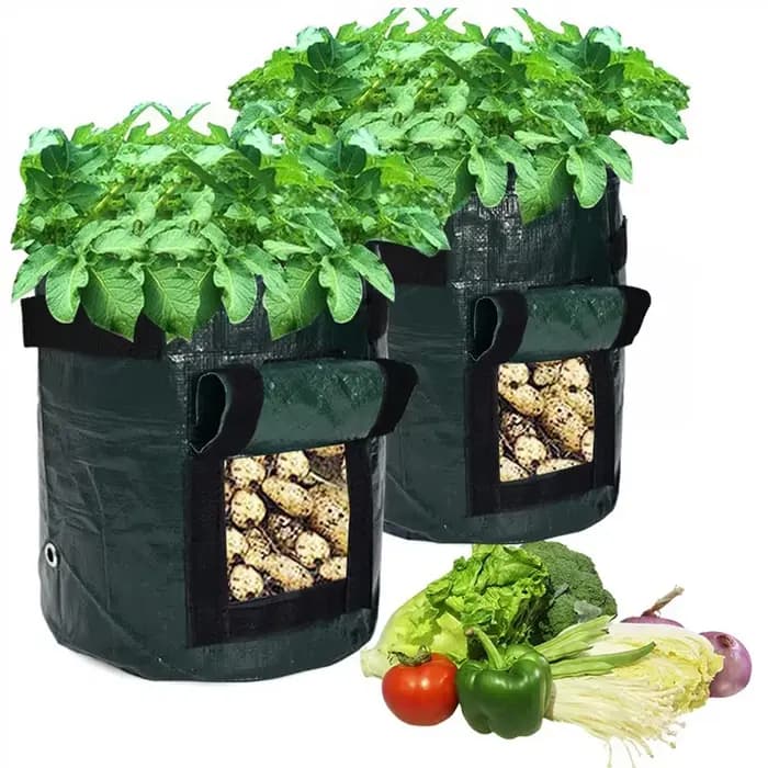 Sacs de culture de pommes de terre de 3 à 10 gallons