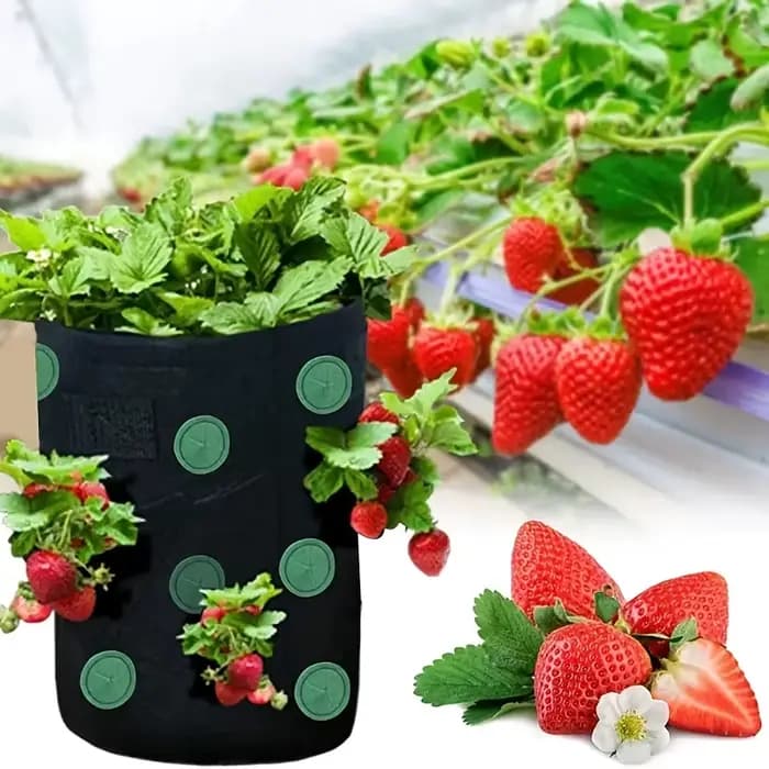 Sac de plantation suspendu pour fraises et tomates, pot de culture vertical pour fraises (1 pièce)