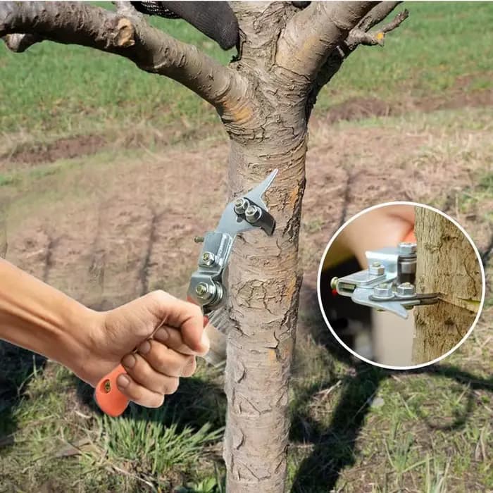Coupe-anneau d'écorce d'arbre réglable, ciseaux de branche d'arbre, coupe-ceinture d'écorce, outil de cisaillement d'épluchage, décapant de jardin pour fruits