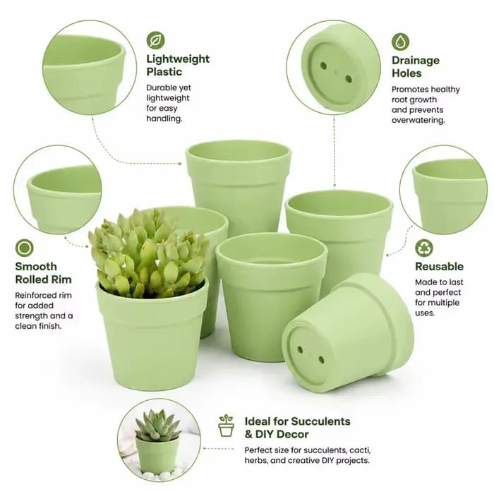 10 pots de fleurs miniatures ronds en plastique pour plantes succulentes