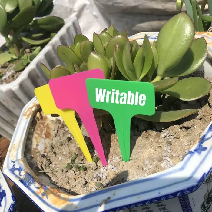 Marqueurs de plantes en plastique PVC blanc de type T, 6x10cm, 20/100 pièces, pour pépinière, jardin