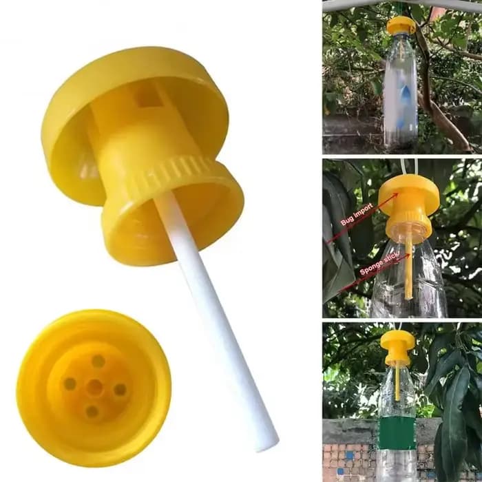 5/10 pièces utile piège jaune piquets de fruits maison ferme verger Melon