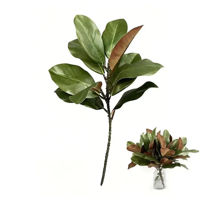 Feuilles de magnolia de style artistique de plante verte simulée