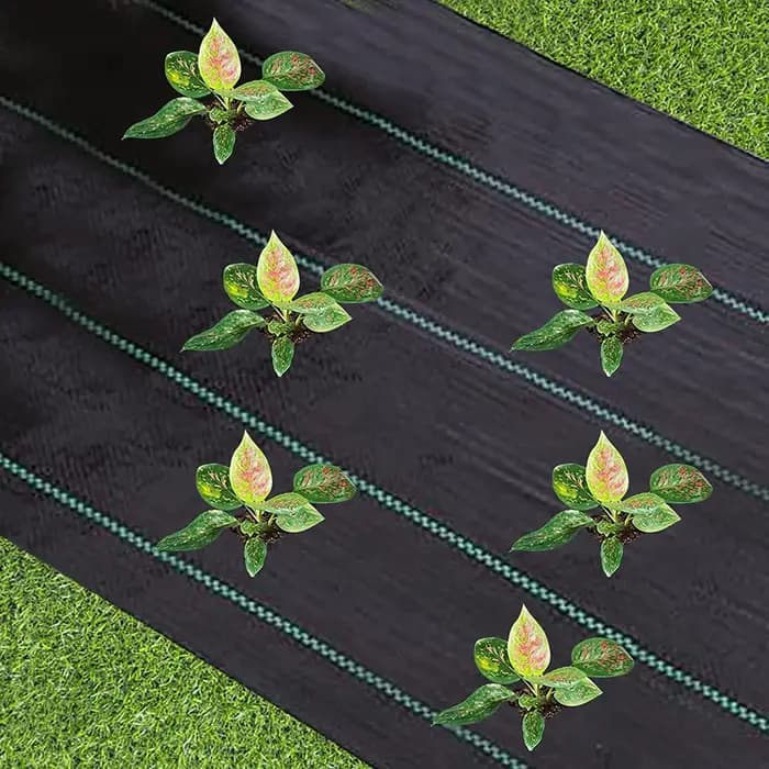Barrière contre les mauvaises herbes en tissu de paysage de jardin, tapis de jardinage robuste, couv