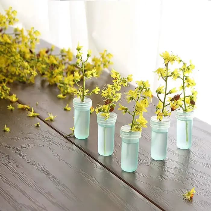 Tube de conservation des fleurs fraîches, 50 pièces, 4.2cm/7.3cm, Tube de Nutrition des plantes en p