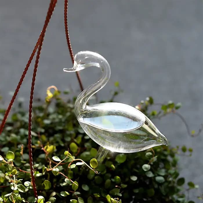 Dispositif d'Arrosage existent Transparent pour Plantes d'Nik, Élégant, 007
