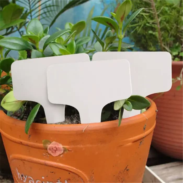 Étiquettes de type T en plastique PVC blanc pour plantes, marqueurs pour pépinière, jardin, plateau