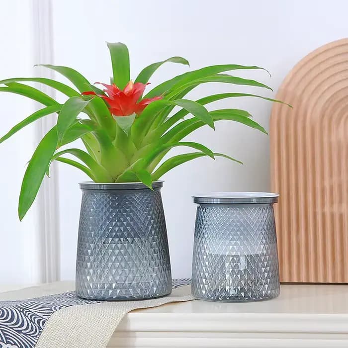 Pot de fleurs auto-arrosage pour plantes hydroponiques succulentes d'intérieur