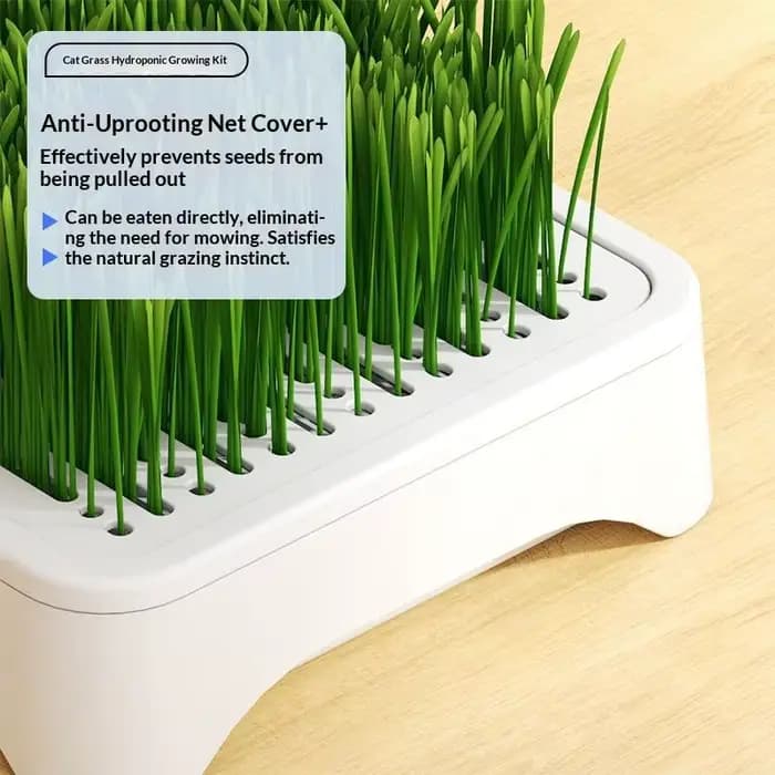 (.) Bac de culture hydroponique pour herbe à chat