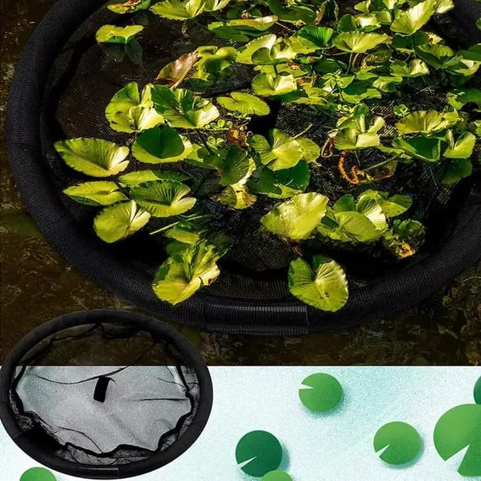 Filet de protection solaire pour plantes d'étang, 45/60/80cm, plante poreuse, nouveau filet circulai
