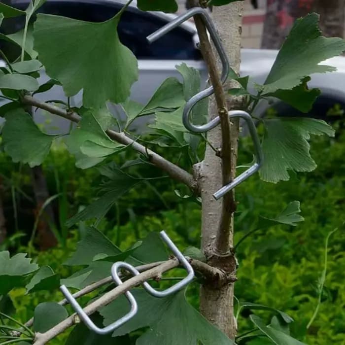 Kit d'outils de pliage de branches d'arbres fruitiers, 50 pièces, outils manuels de pliage de branches pour la mise en forme et l'écartement, outils de culture pour vergers