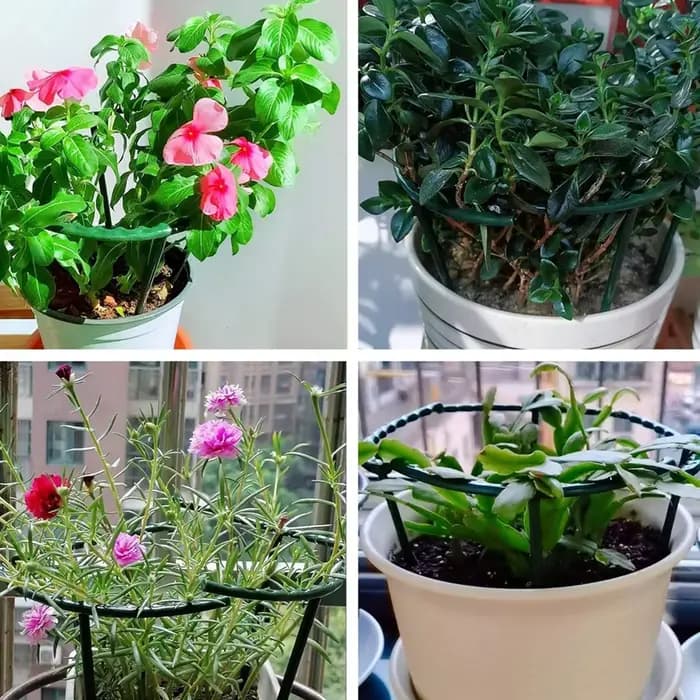 Support de plante en plastique, cadre de Pile, Arrangement de serre, tige fixe en demi-cercle, Suppo