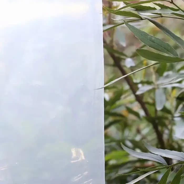 Film de serre en plastique transparent, 6.5 pi x 32 pi, 3.1 mil, polyéthylène, pour tunnel de croiss