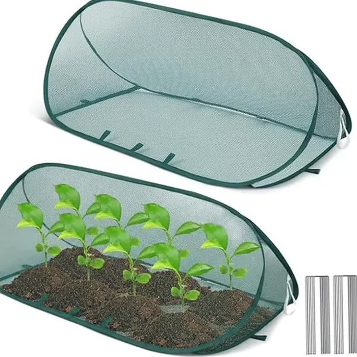1 ensemble de couvertures triangulaires vertes pour plantes de jardin